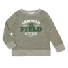 Lambeau Field Toddler French Terry Crewneck